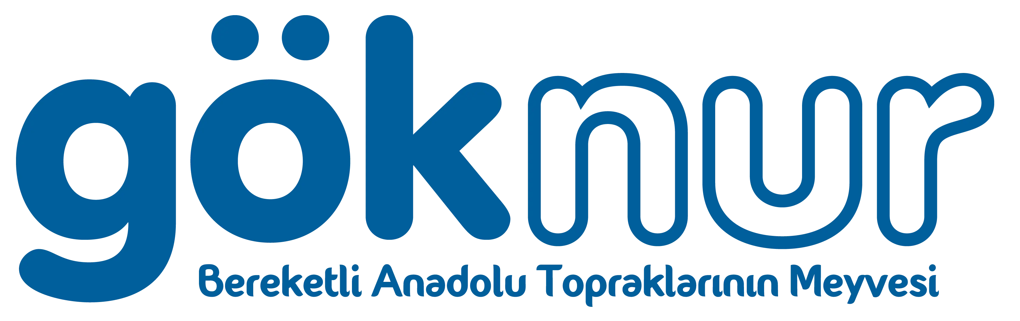 Göknur Gıda Logo